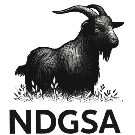 Nigerian Dwarf Goats South Africa